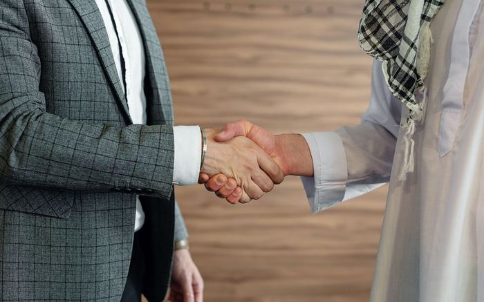 Two professionals shaking hands